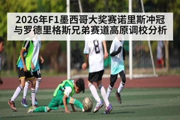 2026年F1墨西哥大奖赛诺里斯冲冠与罗德里格斯兄弟赛道高原调校分析